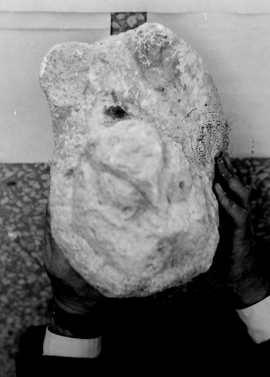 TESTA DI LEONE (scultura, frammento) - ambito abruzzese (sec. XIII)