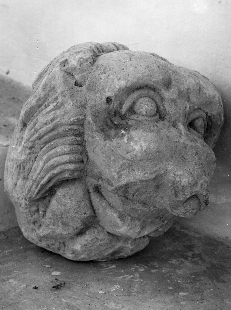 TESTA DI LEONE (scultura, frammento) - ambito abruzzese (sec. XII)