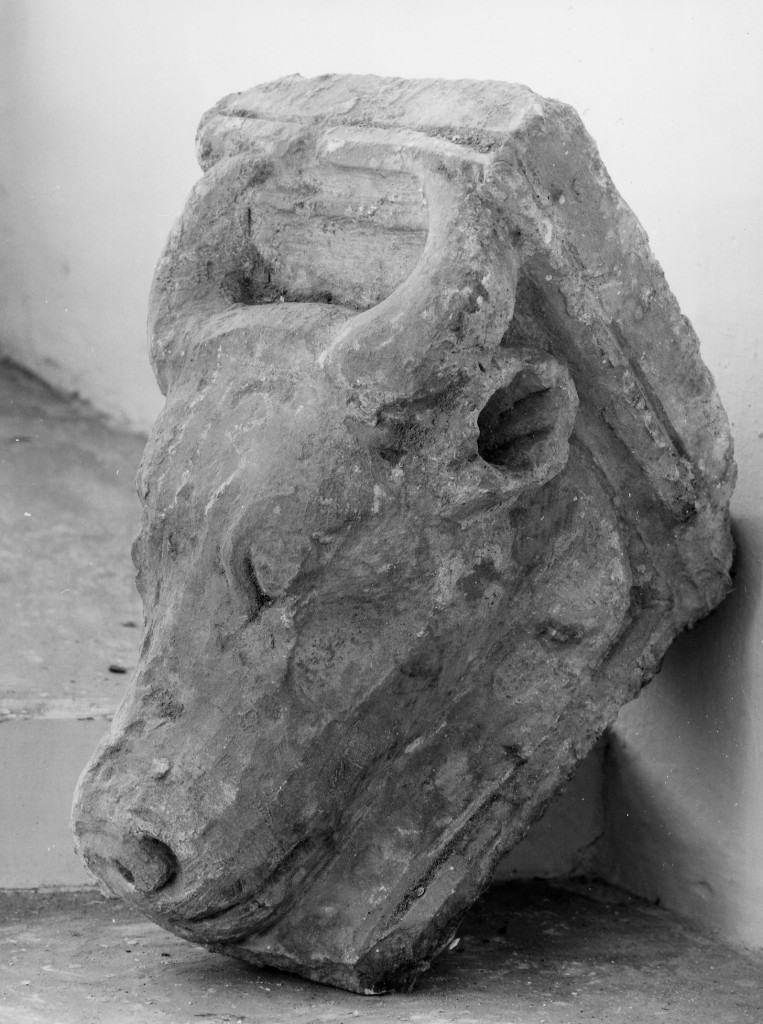 TESTA DI BUE (scultura, frammento) - ambito abruzzese (fine/inizio secc. XIII/ XIV)