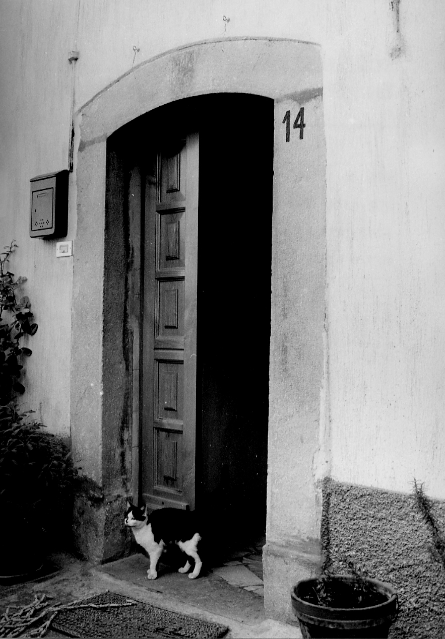 portale, elemento d'insieme - ambito abruzzese (sec. XX)