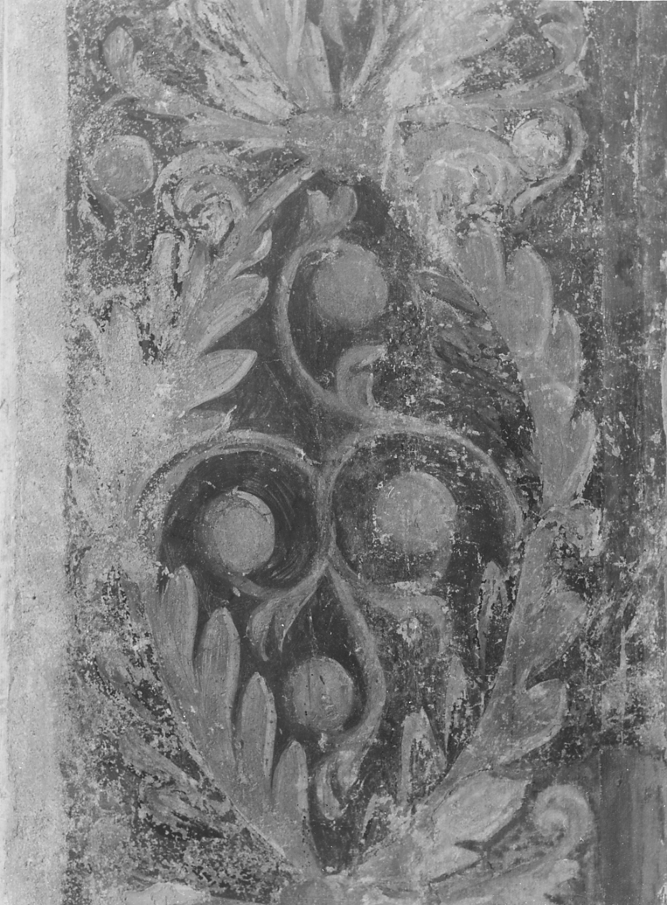 MOTIVI DECORATIVI (dipinto) - ambito Italia centrale (sec. XVI)