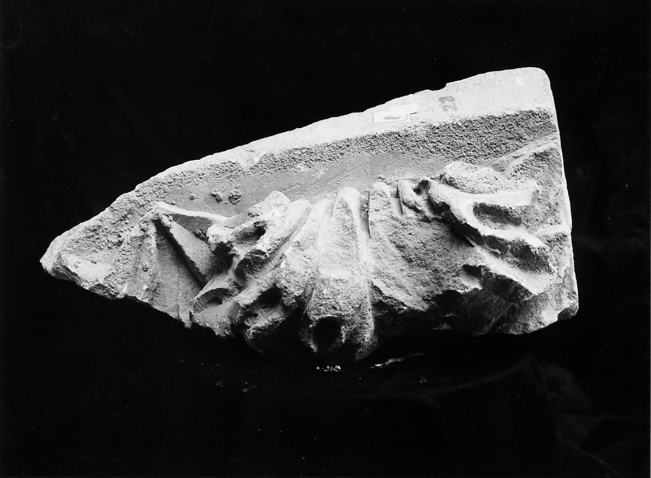 cornice, frammento - ambito Italia centrale (sec. XV)