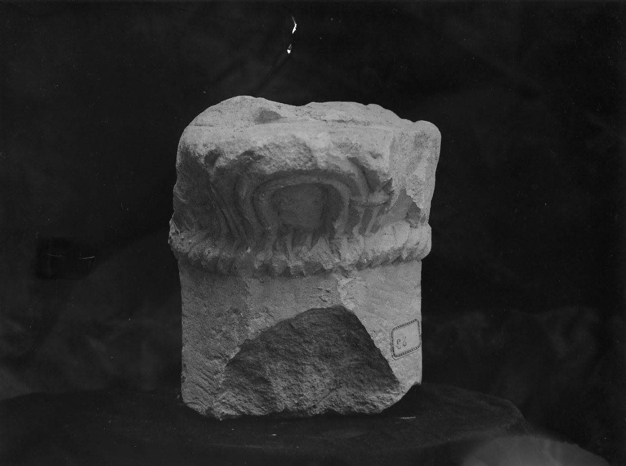 MOTIVI DECORATIVI VEGETALI (colonnina, frammento) - ambito Italia centrale (sec. XV)