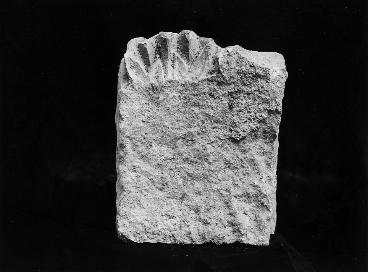 decorazione plastica, frammento - ambito Italia centrale (sec. XV)