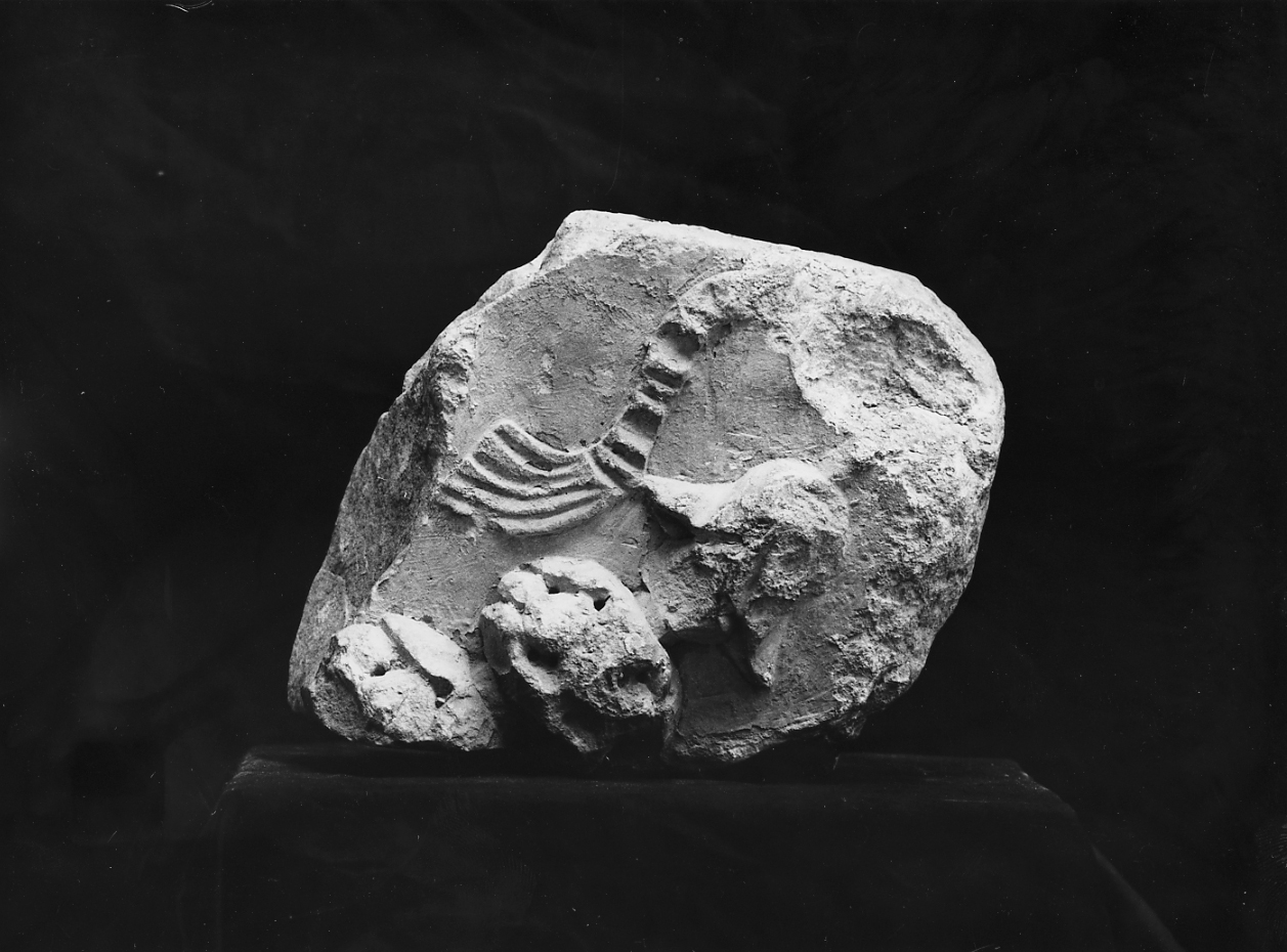 decorazione plastica, frammento - ambito Italia centrale (secc. XV/ XVI)