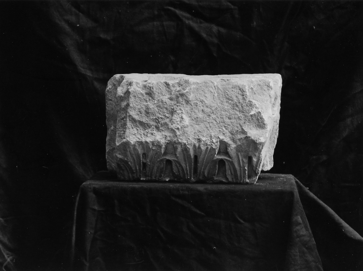 MOTIVI DECORATIVI VEGETALI (decorazione plastica, frammento) - ambito Italia centrale (secc. XV/ XVI)