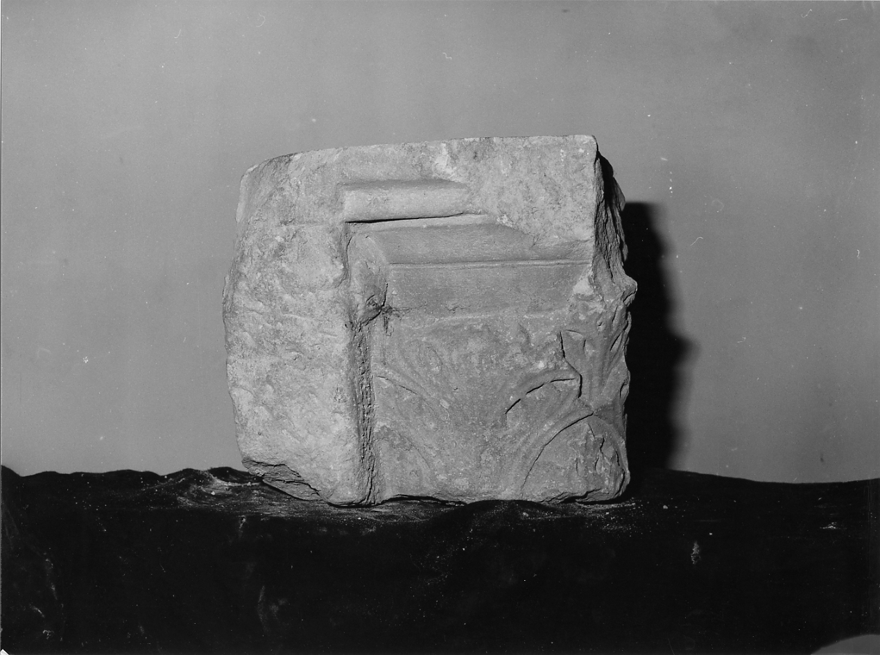 MOTIVI DECORATIVI VEGETALI (cornice, frammento) - ambito Italia centrale (sec. XVI)