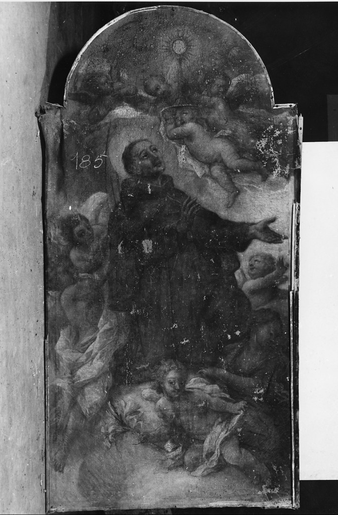 San Pasquale Baylon (dipinto) di Cenatiempo Gerolamo (prima metà sec. XVIII)