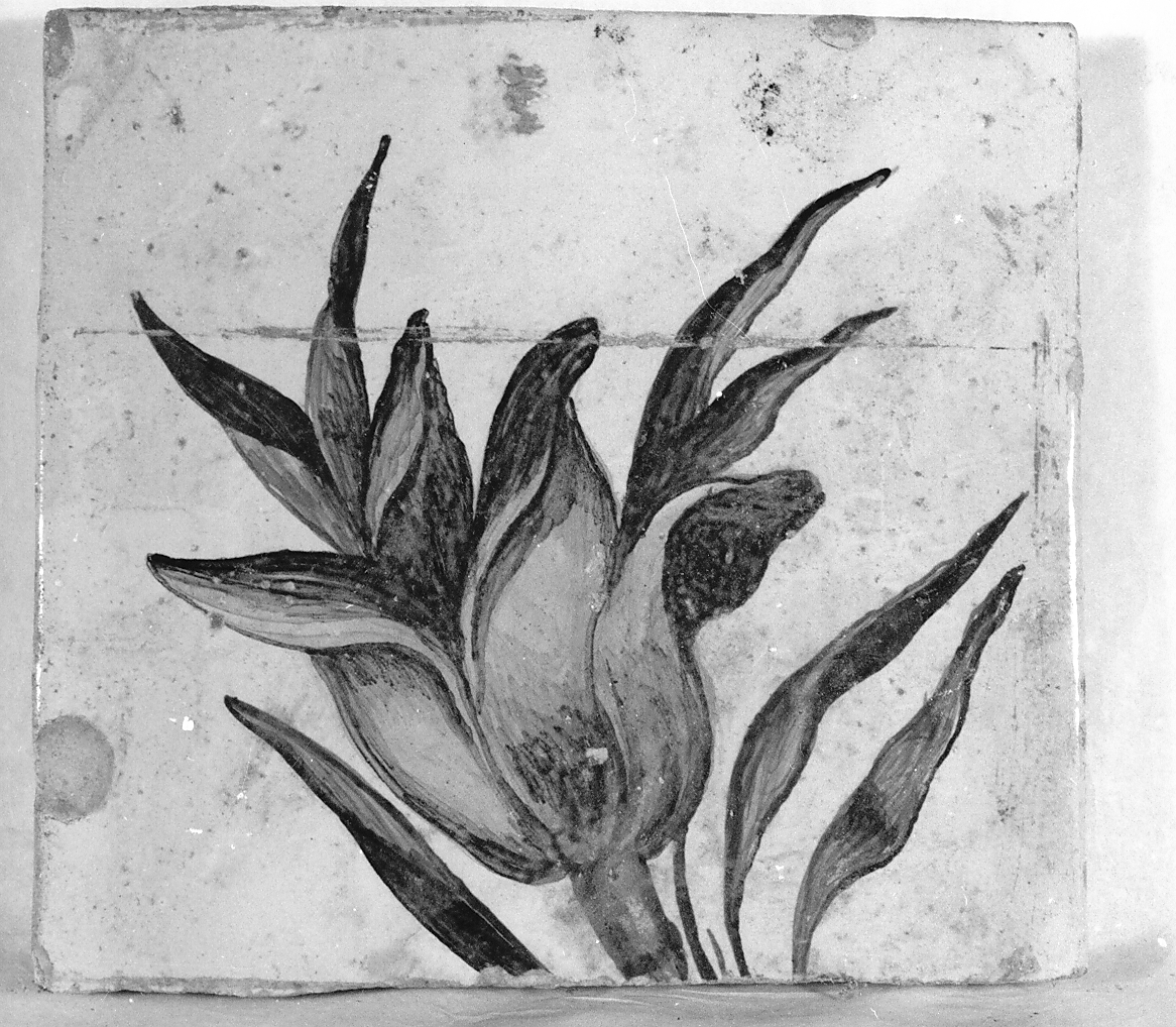 motivi decorativi floreali (mattonella) di Grue Francesco Antonio Saverio (attribuito) (sec. XVIII)