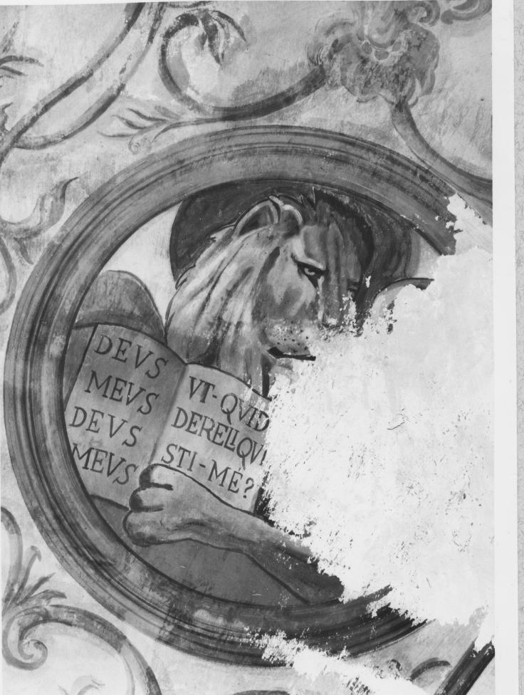 simbolo di San Marco: leone (dipinto, complesso decorativo) - ambito lucano (sec. XVIII)