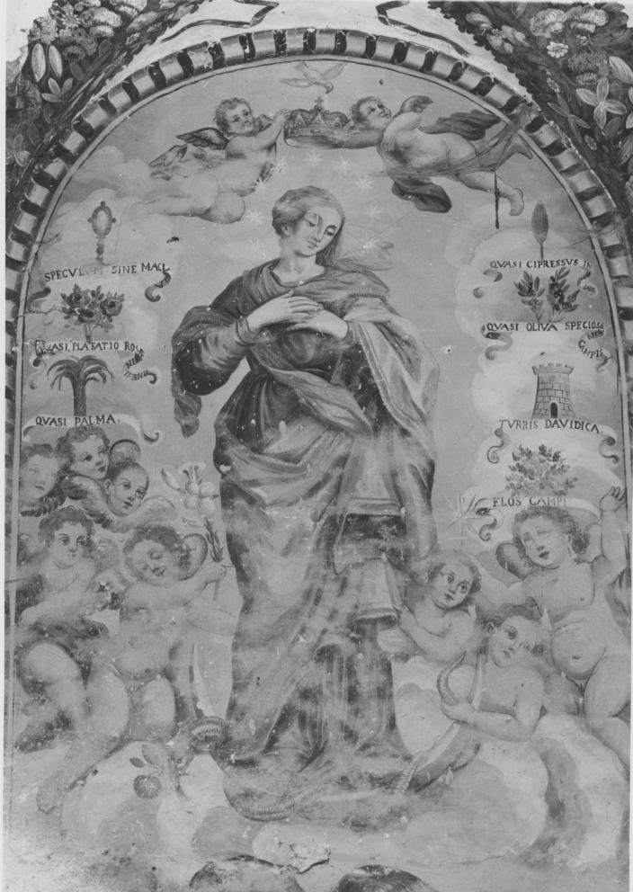 Immacolata Concezione (dipinto, elemento d'insieme) di Pietro di Gianpietro di Brienza (sec. XVIII)