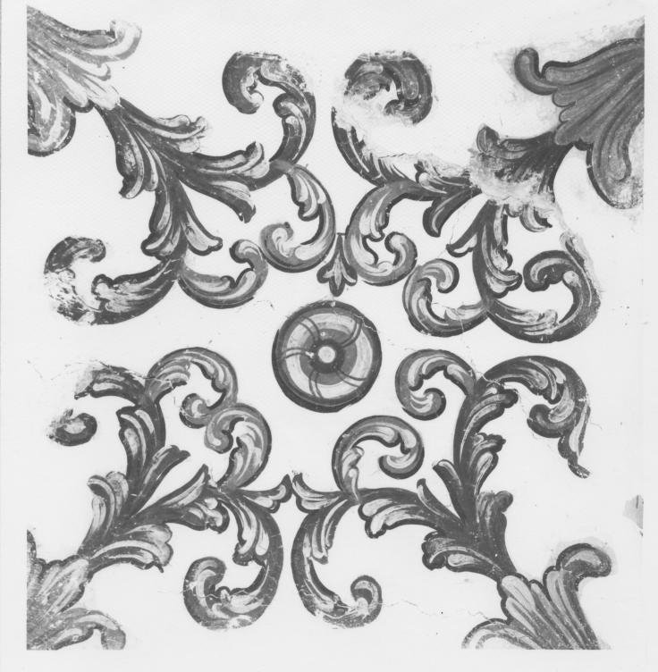 motivo decorativo a volute (dipinto, elemento d'insieme) di Pietro di Gianpietro di Brienza (sec. XVIII)