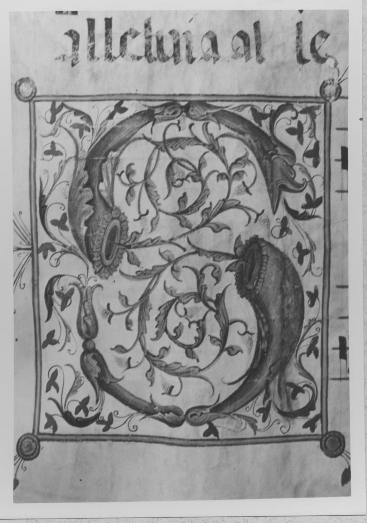 Lettera iniziale S (miniatura) di Pirano Reginaldo (e aiuti) (sec. XVI)