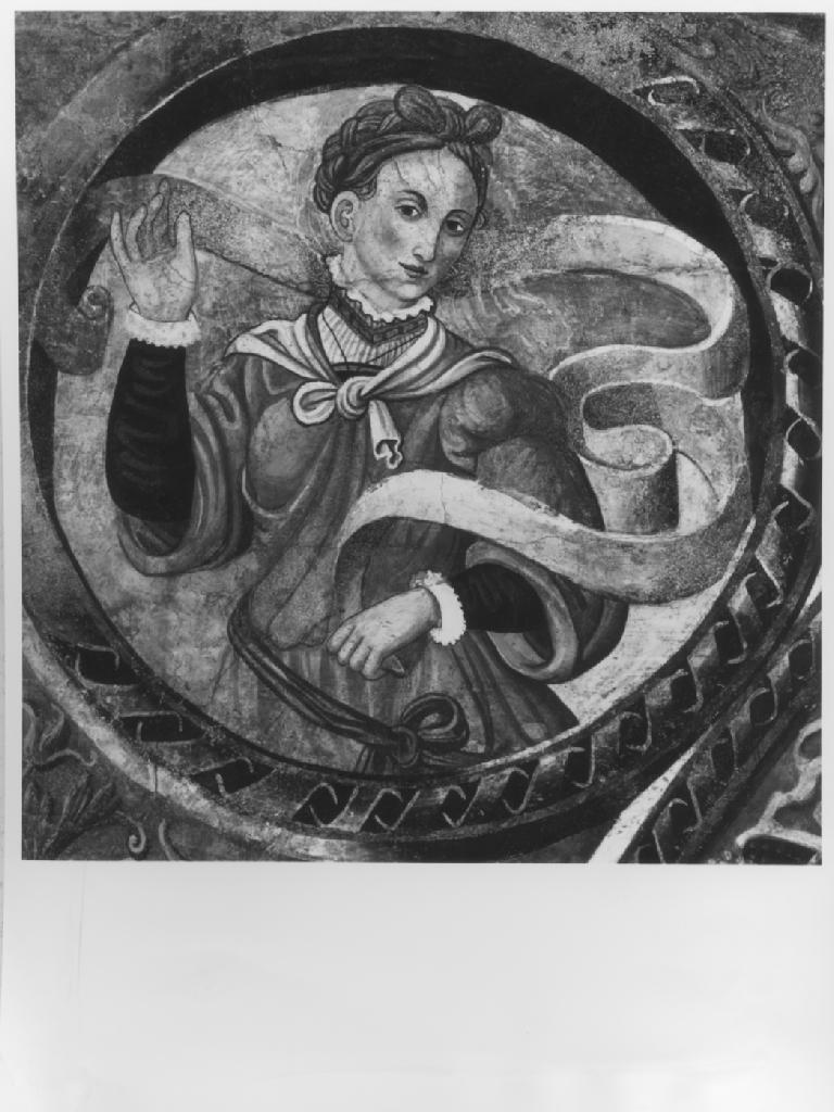 sibilla (dipinto) - ambito lucano (sec. XVI)