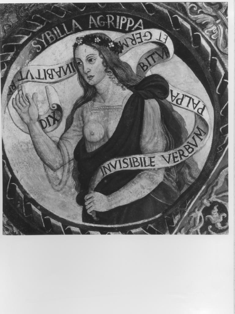 La sibilla Agrippina (dipinto) - ambito lucano (sec. XVI)