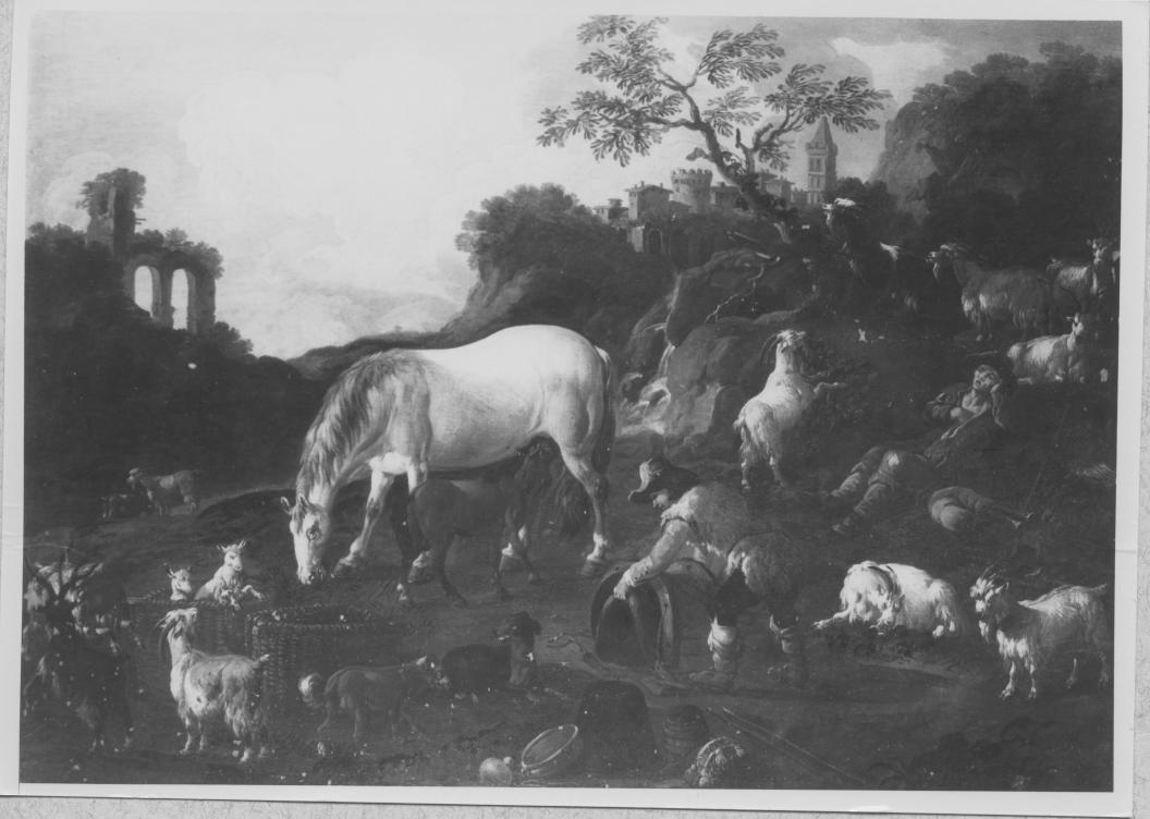 Armenti al pascolo (dipinto) di Brandi Domenico detto Micco (primo quarto sec. XVIII)