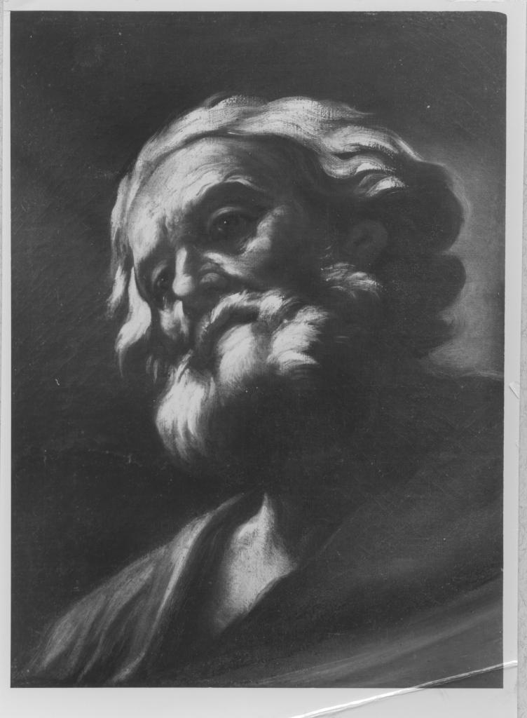 Testa di uomo barbato (santo) (dipinto) di Benaschi Giovanni Battista (terzo quarto sec. XVII)