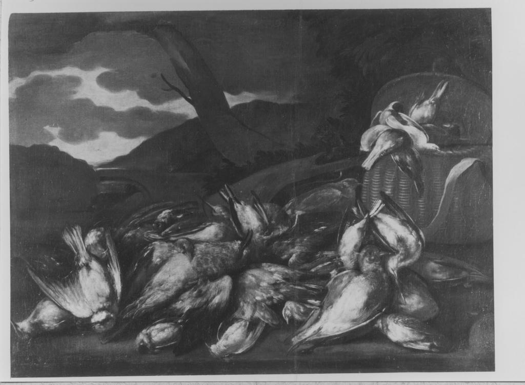 Natura morta con cacciagione (dipinto) di De Caro Baldassarre (attribuito) (prima metà sec. XVIII)
