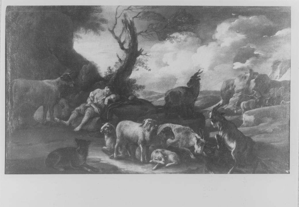 Pastori e armenti (dipinto) di Brandi Domenico detto Micco (maniera) (prima metà sec. XVIII)