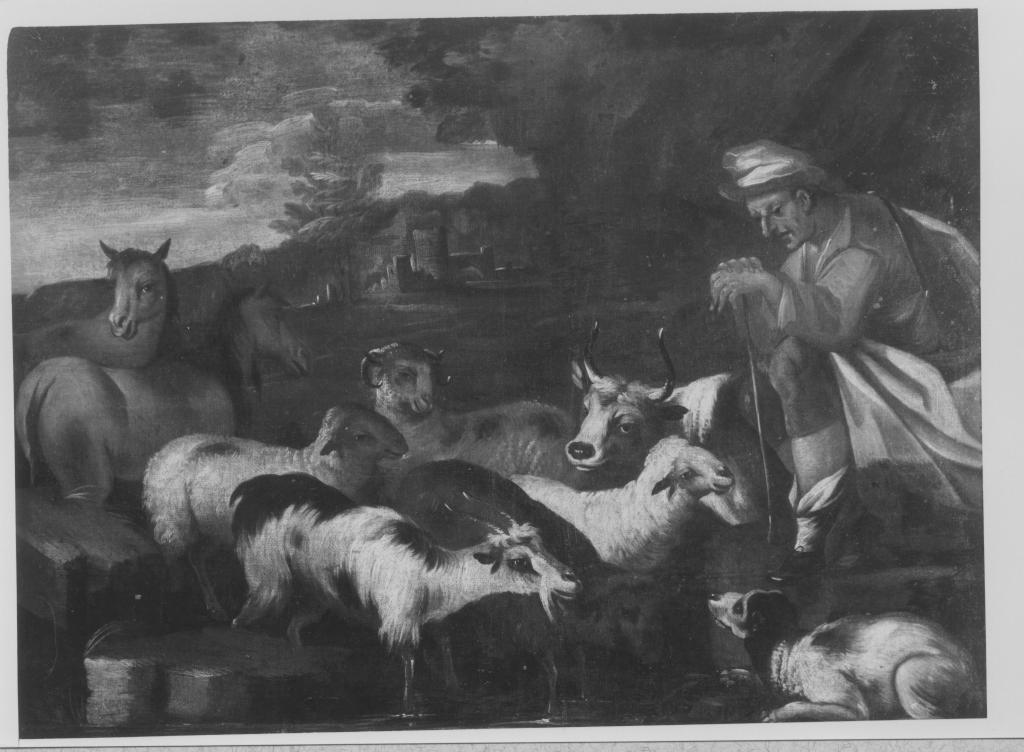 Armenti al pascolo (dipinto) di Brandi Domenico detto Micco (maniera) (prima metà sec. XVIII)