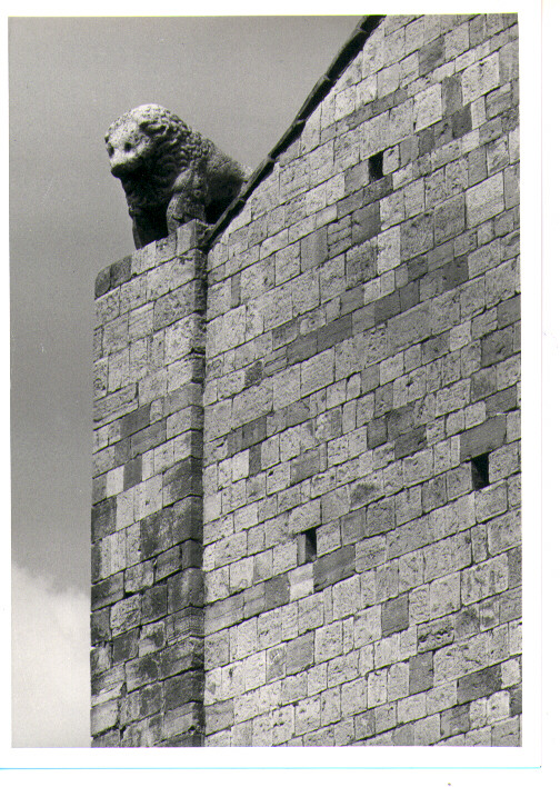 leone (scultura) - bottega lucana (sec. XIII)