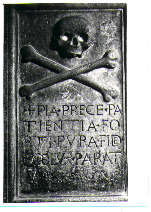 piedistallo - bottega lucana (primo quarto sec. XVI)