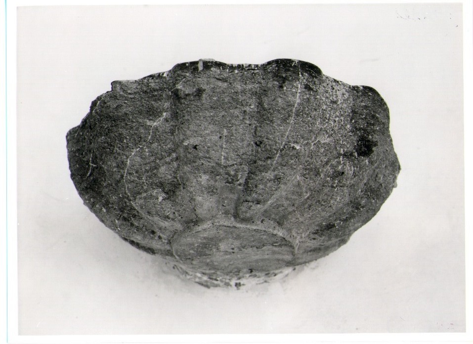 acquasantiera - a conchiglia - bottega lucana (metà sec. XVIII)