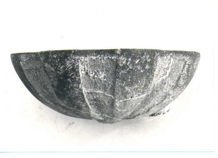 acquasantiera - a conchiglia - bottega lucana (sec. XVIII)