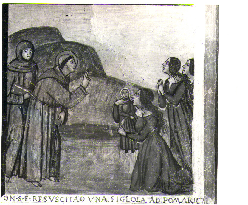San Francesco d'Assisi resuscita una fanciulla a Pomarico (dipinto, elemento d'insieme) di Luce Giovanni (sec. XVI)