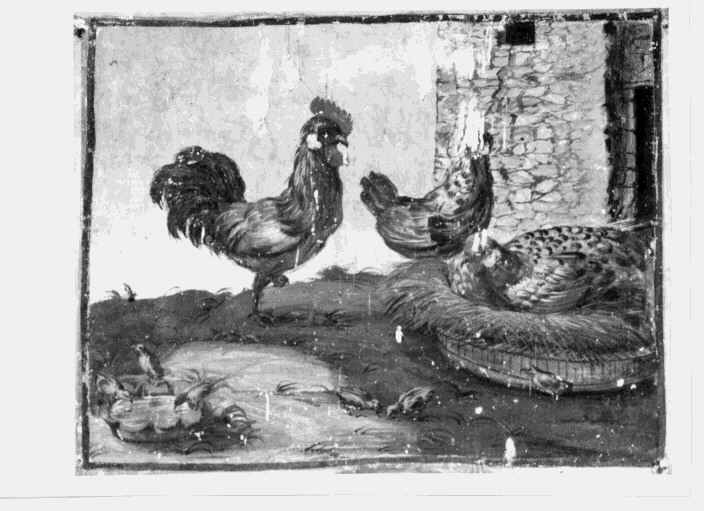 animali (dipinto) - ambito Italia meridionale (fine/inizio secc. XVIII/ XIX)