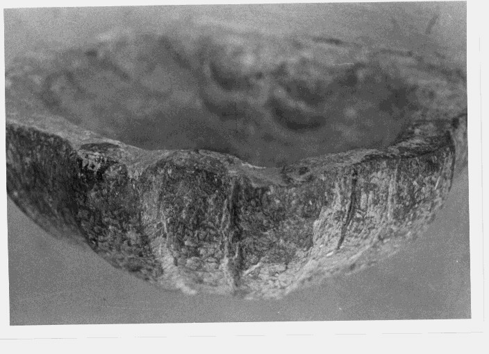 acquasantiera - a conchiglia - bottega Italia meridionale (sec. XVIII)
