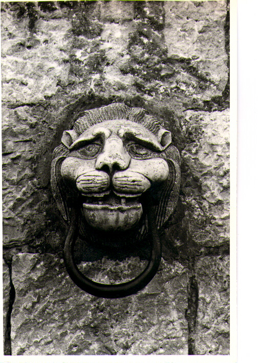 testa di leone (scultura) - bottega lucana (sec. XIX)