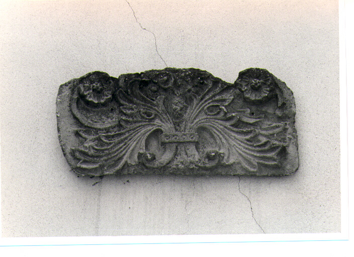 motivi decorativi vegetali (rilievo, serie) - bottega salentina (sec. XVII)