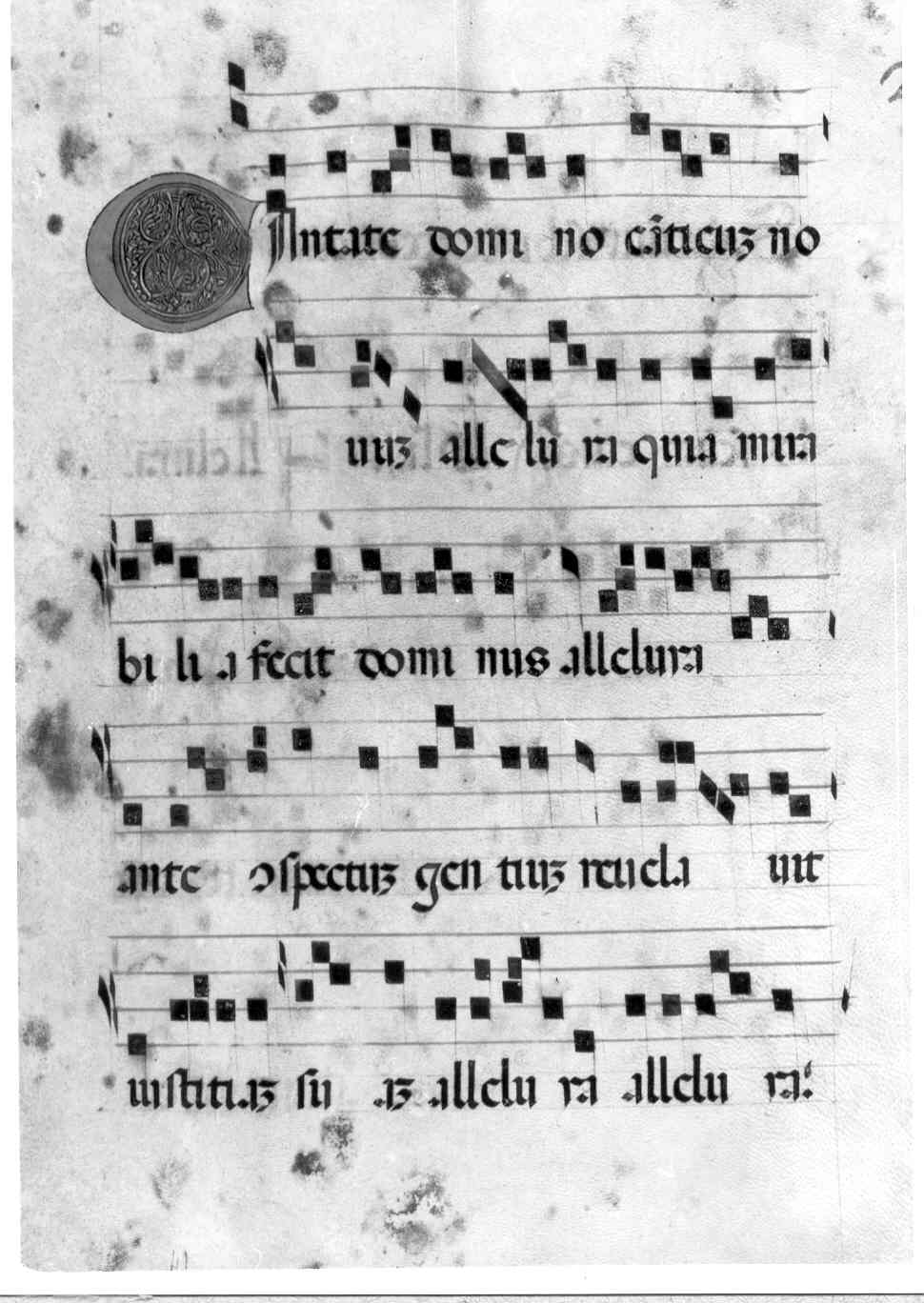 "A" (I: c.17 r.)"C" (I: c. 30 r.) (miniatura) - ambito italiano (sec. XV)