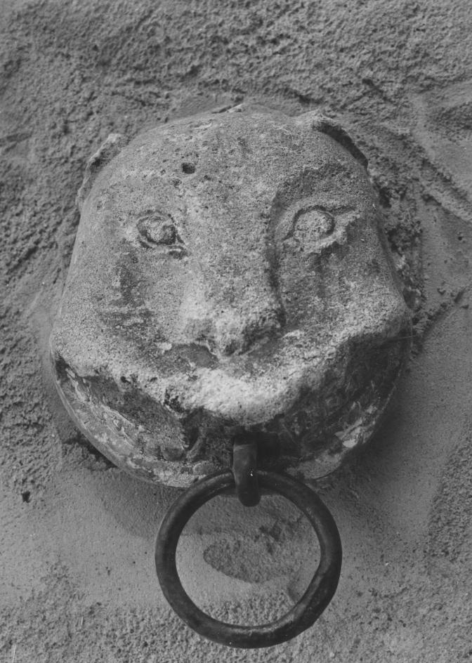 animale (protome) - bottega Italia meridionale (sec. XIX)