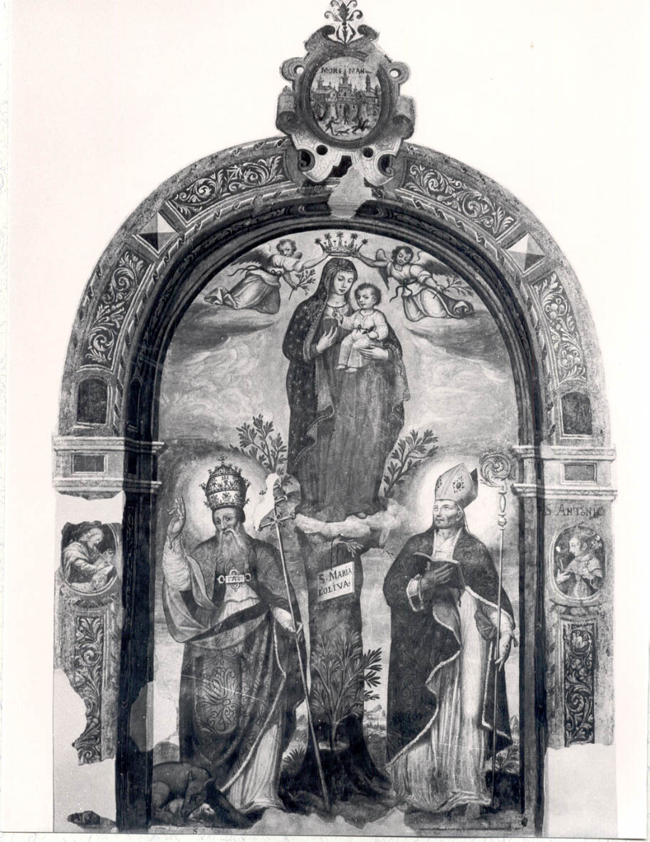 Madonna dell'Olivo tra un S. Papa e un S. Vescovo (dipinto) di Todisco Girolamo (primo quarto sec. XVII)
