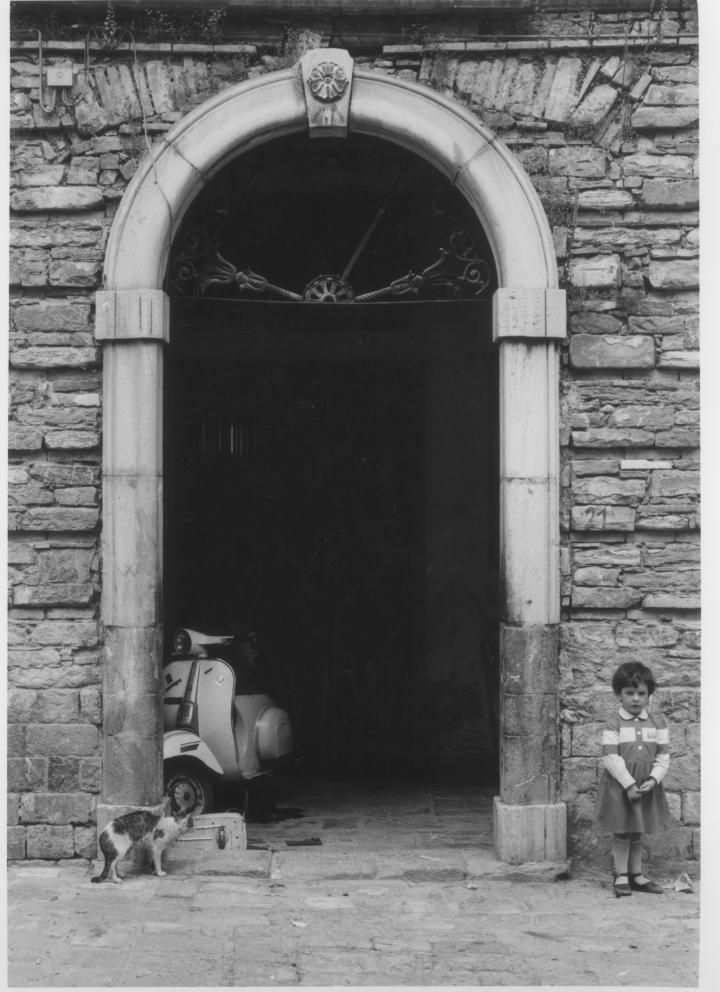 portale - ad arco di Veneziano Francesco (sec. XX)