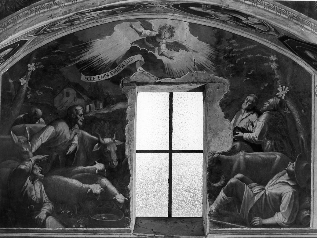 annuncio ai pastori (dipinto, ciclo) di Ferro Pietro Antonio (sec. XVII)