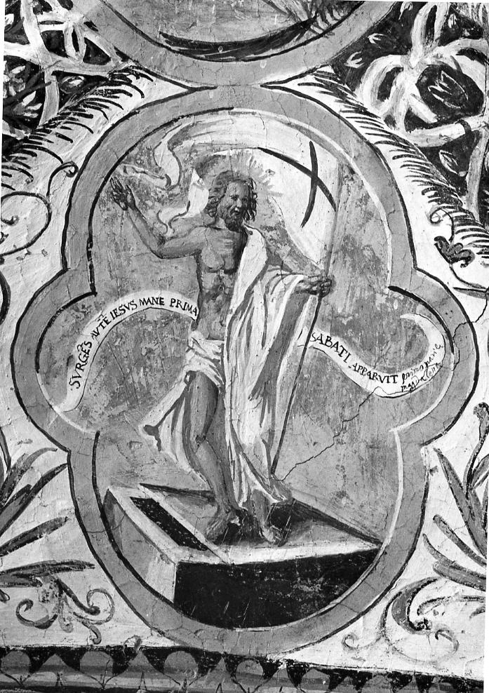 Cristo davanti a Pilato, Crocifissione, Serpente di bronzo, Cristo nel sepolcro, Giona nel ventre della balena, Cristo risorto, Sansone svelle le porte di Gaza, Trasfigurazione, Elia sul carro di fuoco (dipinto, ciclo) di Sciarra Giuseppe (sec. XVII)