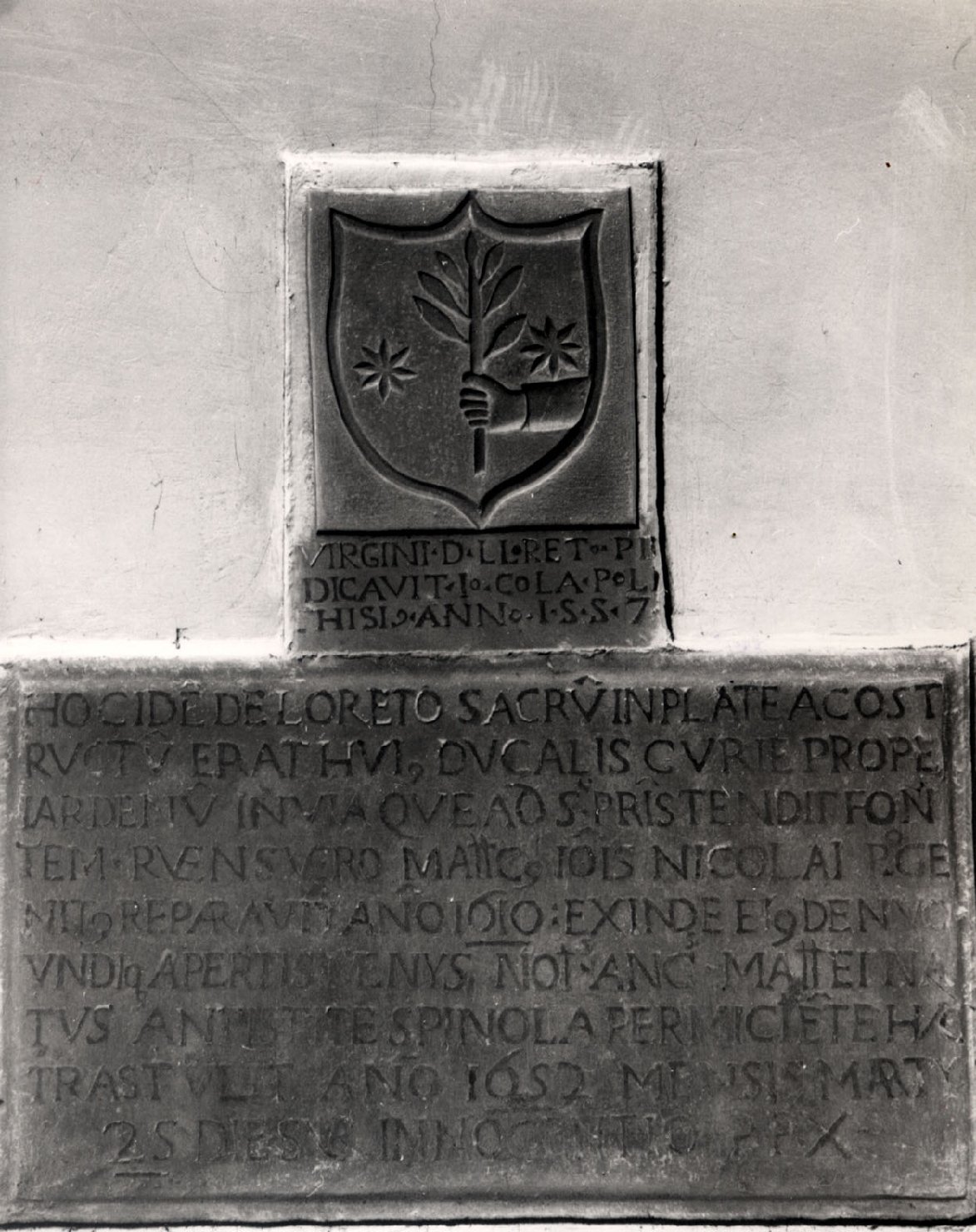 stemma gentilizio (decorazione plastica) - bottega Italia meridionale (sec. XVI)