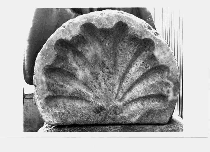 conchiglia (scultura) - bottega lucana (sec. XVIII)