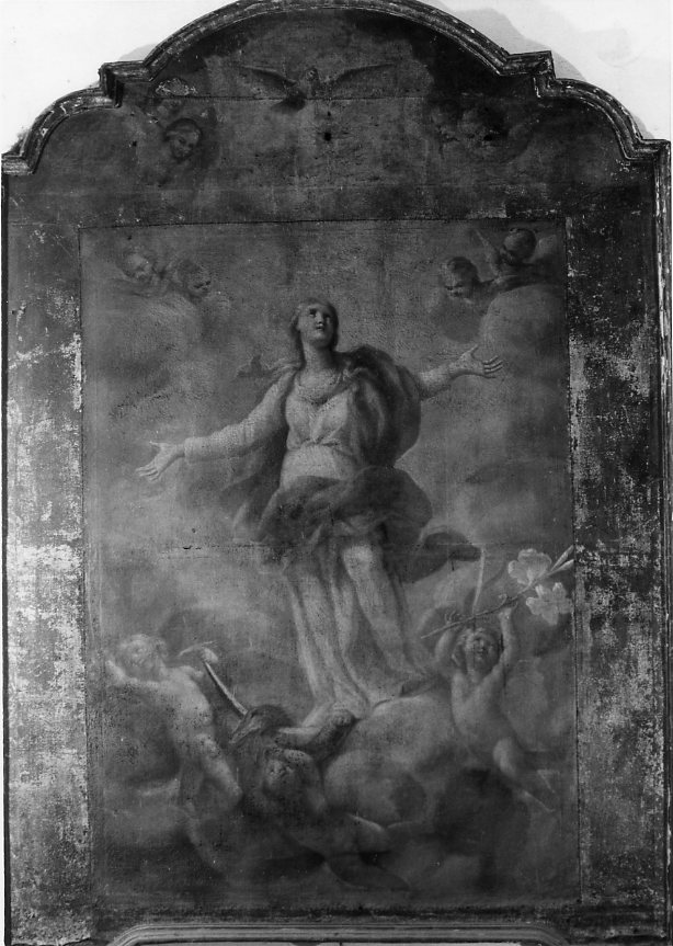 Madonna Immacolata (dipinto) di Vaccaro Andrea (secc. XVIII/ XIX)