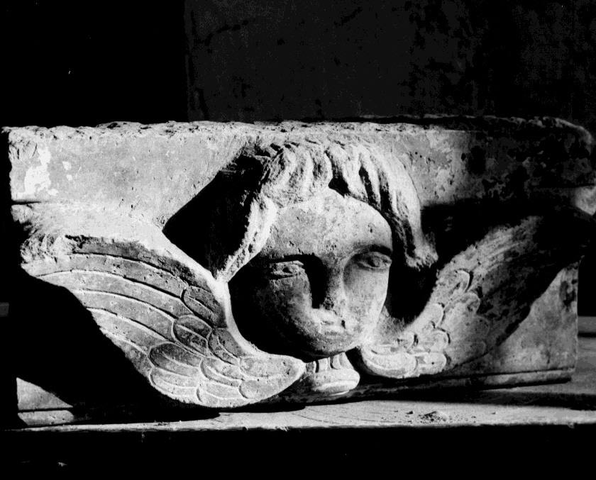 cherubino (cornice, frammento) - bottega Italia meridionale (sec. XVI)