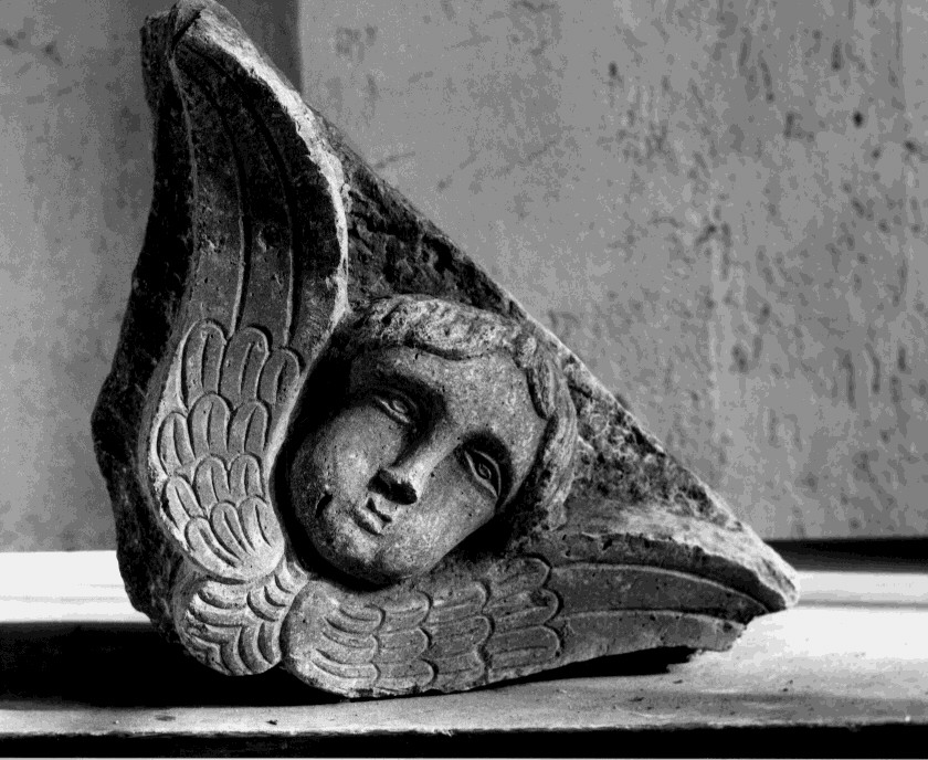 cherubino (decorazione plastica, frammento) - bottega Italia meridionale (sec. XVI)