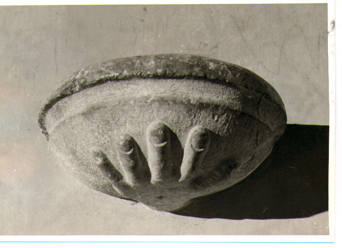 acquasantiera da parete - bottega lucana (sec. XVII)