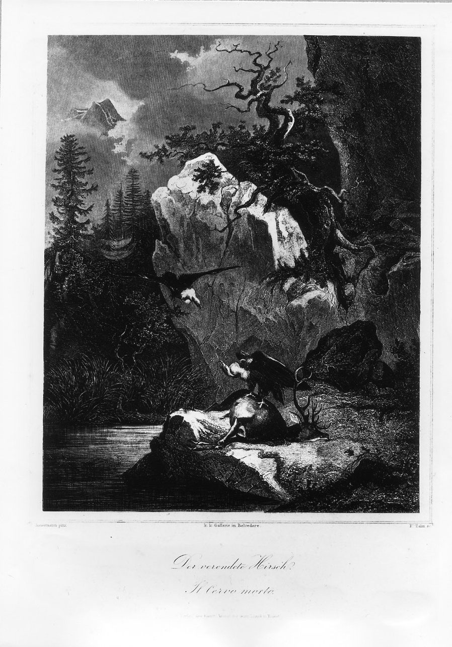 Il cervo morto (stampa smarginata) di Zahn Friedrich, Gauermann Friedrich (seconda metà sec. XIX)