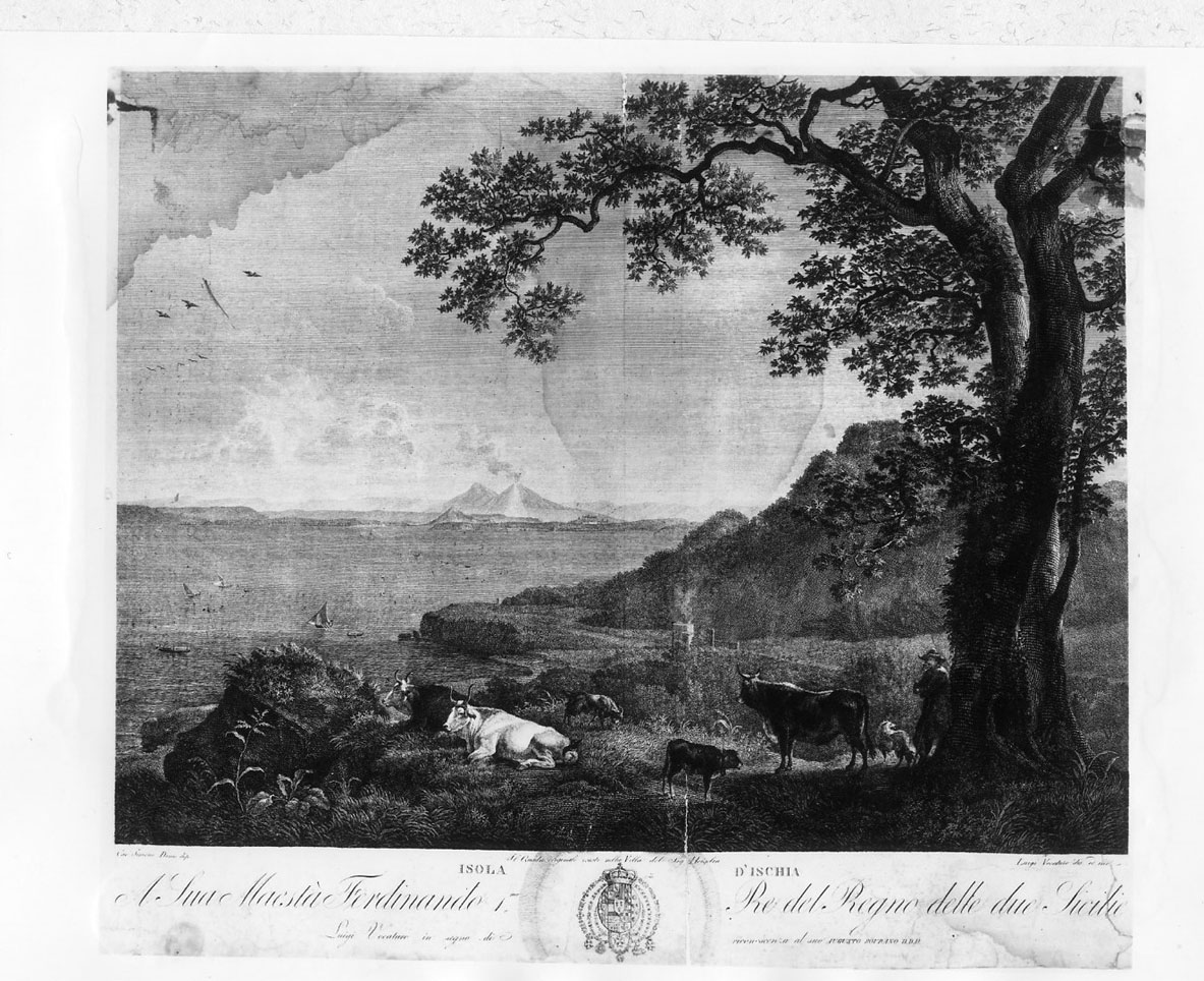 Veduta dell'isola d'Ischia (stampa smarginata) di Vocaturo Luigi, Denis Simon (sec. XIX)