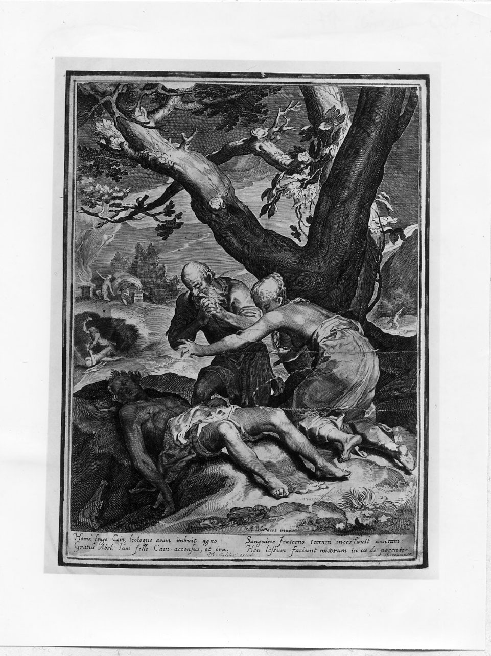 La morte di Abele (stampa smarginata) di Sadeler Marcus Christoph, Saenredam Jan Pietersz, Bloemaert Abraham (fine/inizio secc. XVI/ XVII)