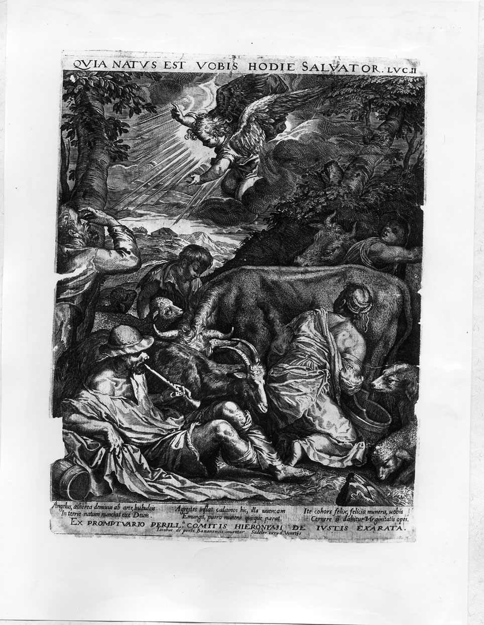 L'annuncio ai pastori (stampa smarginata) di Sadeler Johann II, Da Ponte Jacopo detto Jacopo Bassano (ultimo quarto sec. XVI)