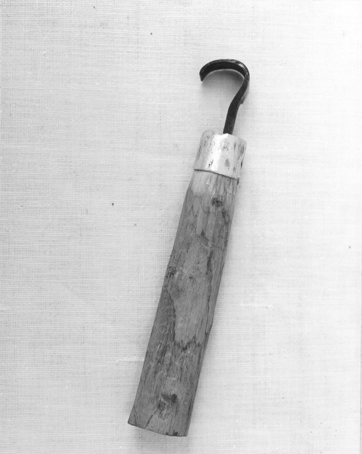 sgorbia di nr (1960 post)